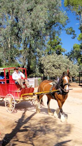 Swan Hill Settlement, VIC. 